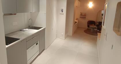 Loft entre Notre Dame y la Sorbona. Barrio latino en el corazón de París