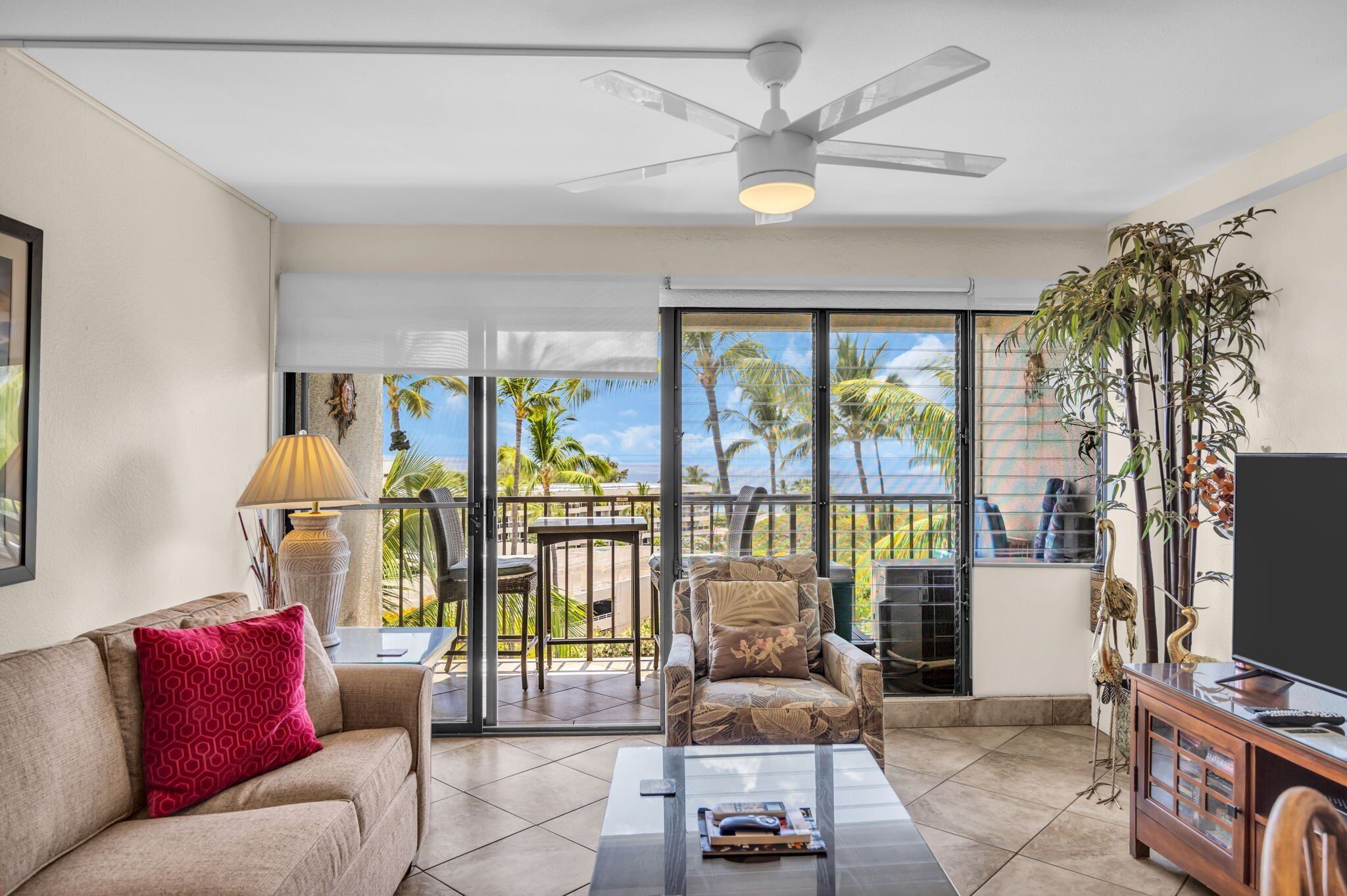 Smart TV, DVD player, books, stereo