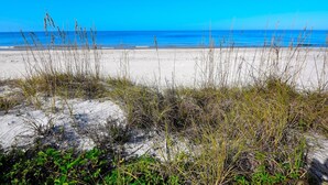 Ein Strand mit Dünen und spärlicher Vegetation.