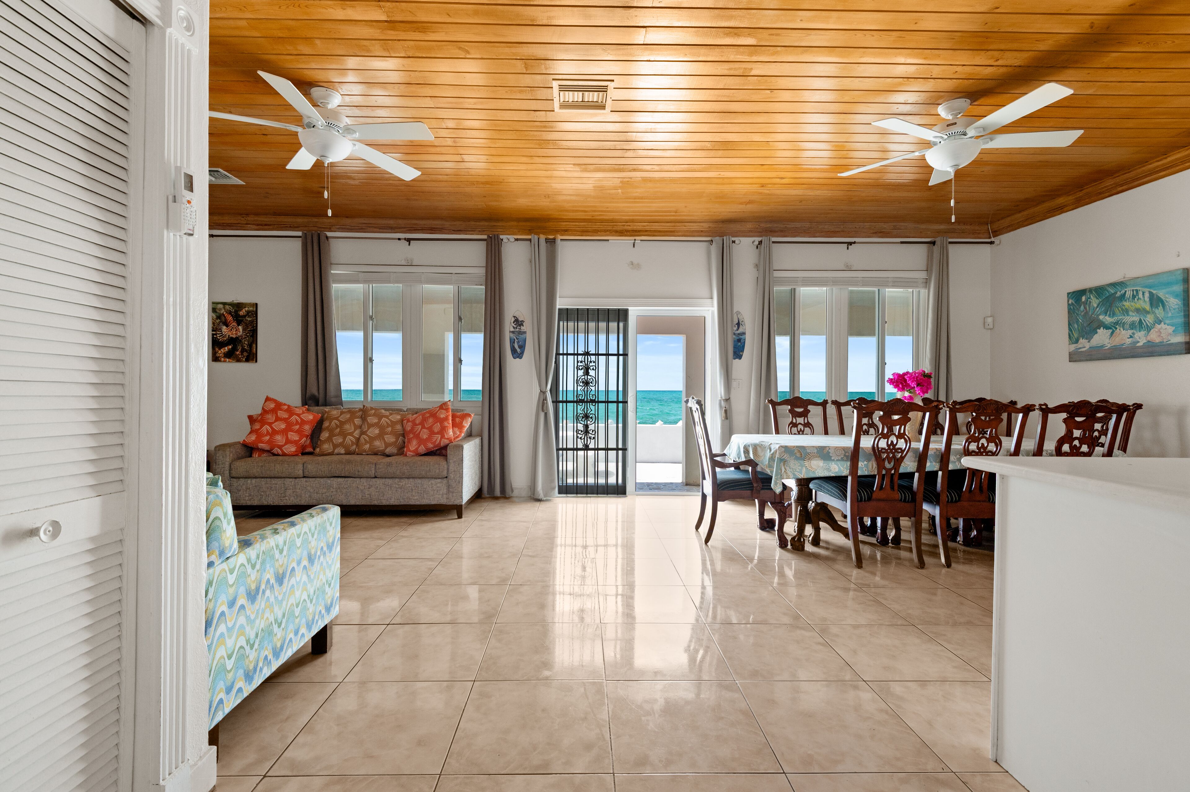 Smart TV, books, video library