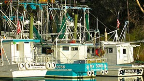 Un barco amarrado en un puerto deportivo, con camarote y equipo de pesca.