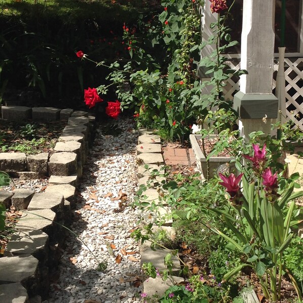 A garden pathway with stepping stones, surrounded by various plants and flowers.