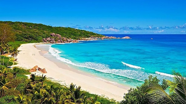 Ein Strand mit klarem türkisblauem Wasser, einem Sandufer und üppiger Vegetation.