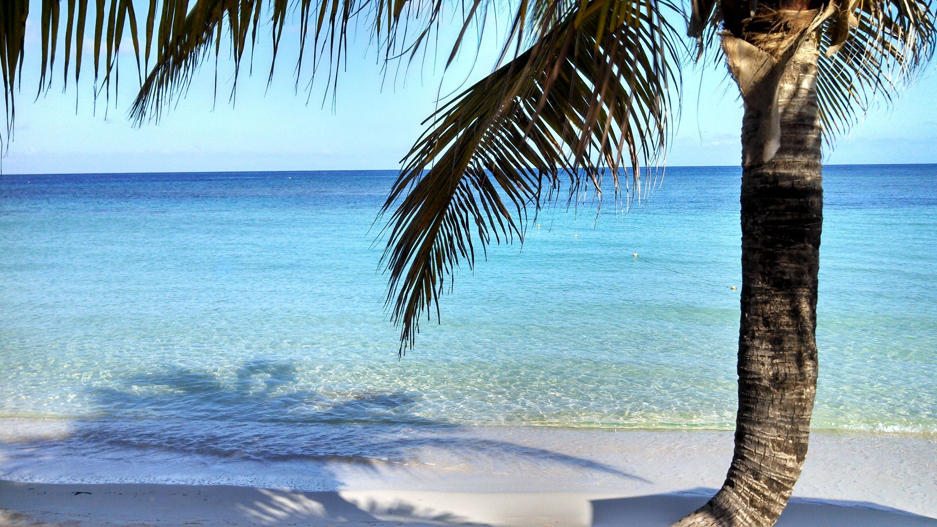 On the beach, sun loungers, beach towels