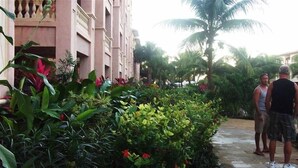 A hotel corridor with lush greenery and a palm tree. - INFINITY BAY VACATION SALE! ULTRA Low Rates for our Low Season Dates! (West Bay Beach)