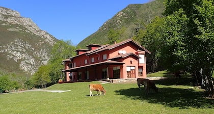 Albergue Los Avellanos - Hostel