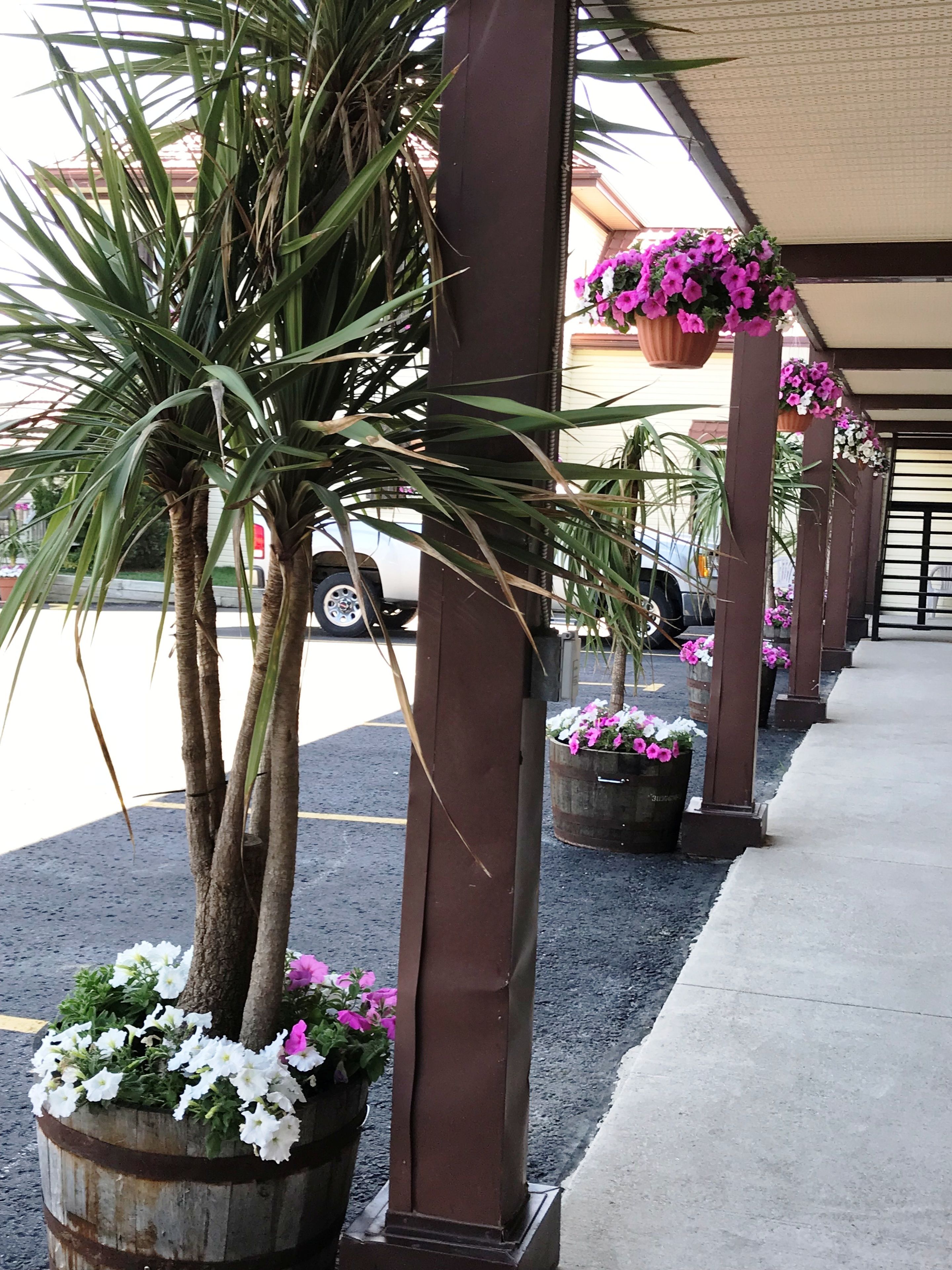 Standard Room, 2 Double Beds | Courtyard view