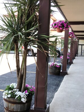 A covered walkway with palm trees and flower planters. - Listowel Country Inn (North Perth)