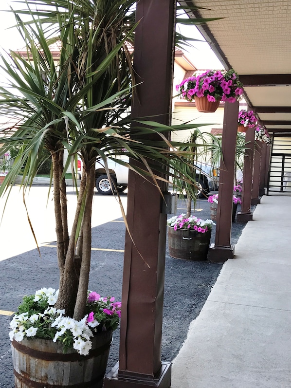 Standaard kamer, 2 tweepersoonsbedden | Uitzicht op de binnenplaats