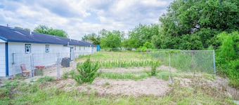 OYO Budget Inn Falfurrias Hwy 281