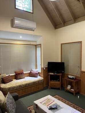 TV, DVD player, books, music library