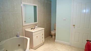 Combined shower/bathtub, jetted bath, hair dryer