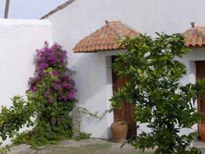 Aussenbereich