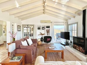 Smart TV, fireplace, books