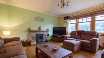 Smart TV, fireplace, books, video library