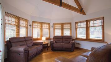 TV connectée, cheminée, livres, vidéothÚque