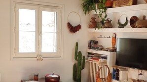 Un saló amb un sofà vermell, una televisió, un cactus i una prestatgeria.