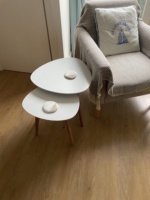 电视、DVD 播放器、玩具、书