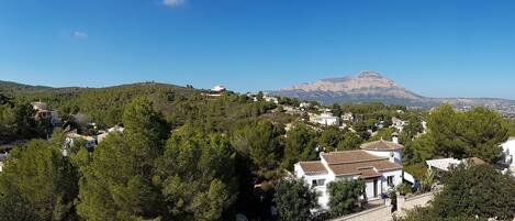 A residential area with houses surrounded by trees and a mountain in the background.