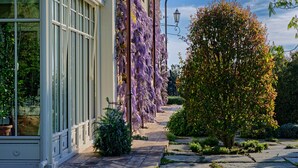 A building with large windows and a garden with a tree and a row of purple flowers.