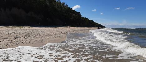 Una spiaggia nelle vicinanze