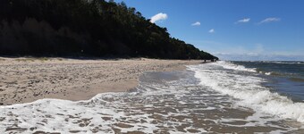 Spazioso appartamento, posizione tranquilla nella foresta, giardino, biciclette, Wi-Fi, cani ammessi