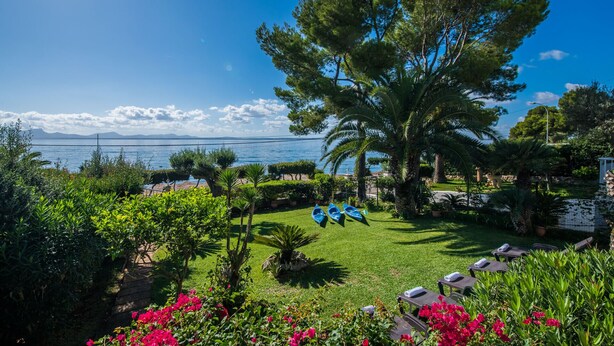 Un jardin avec vue sur la mer, un palmier et une rangée de chaises longues.