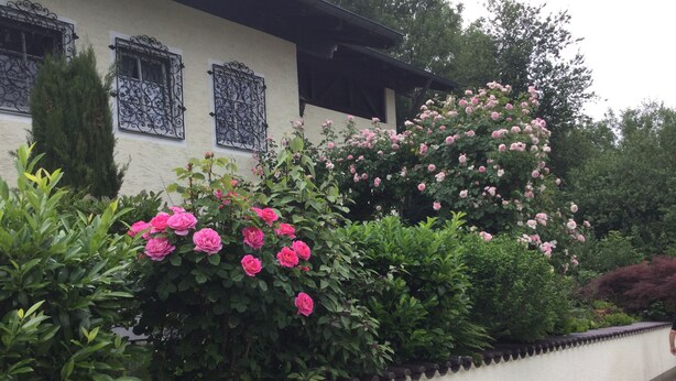 A white building with decorative iron window grilles, surrounded by lush greenery and pink flowers. - Apartment Fernblick near Rosalie  (Ottobeuren)
