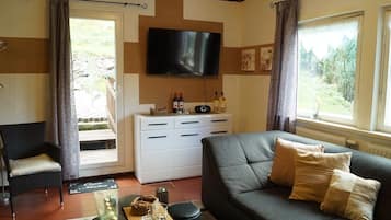 TV, fireplace, DVD player, books