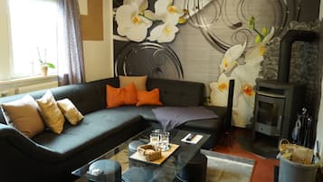 TV, lareira, DVD player, livros