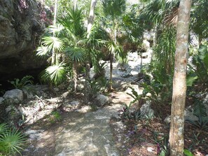 Property grounds - Akumal, jungle cabin Nicteha (akumal)