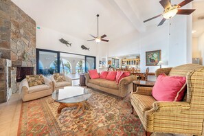 TV connectée, cheminée, Netflix, lecteur de DVD