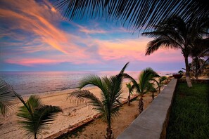On the beach, sun loungers, beach towels -  Secluded Beach Front Estate with a Large Pool, Family and Pet Friendly!  (Los Barriles)