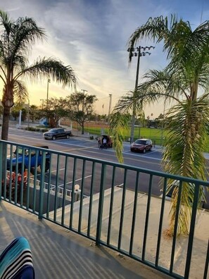 Property grounds - Best Value in Clearwater/ St. Pete Region! (Madeira Beach)