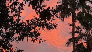 A sunset with palm trees and a building in the foreground. - Workout room, yr round pool and spa, 2 Bd, 2 Bath, Gated, 9 AM-PM chk in-out (Phoenix)