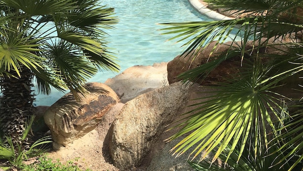 A clear view of a swimming pool with a fountain, surrounded by palm trees and rocks. - Workout room, yr round pool and spa, 2 Bd, 2 Bath, Gated, 9 AM-PM chk in-out (Phoenix)