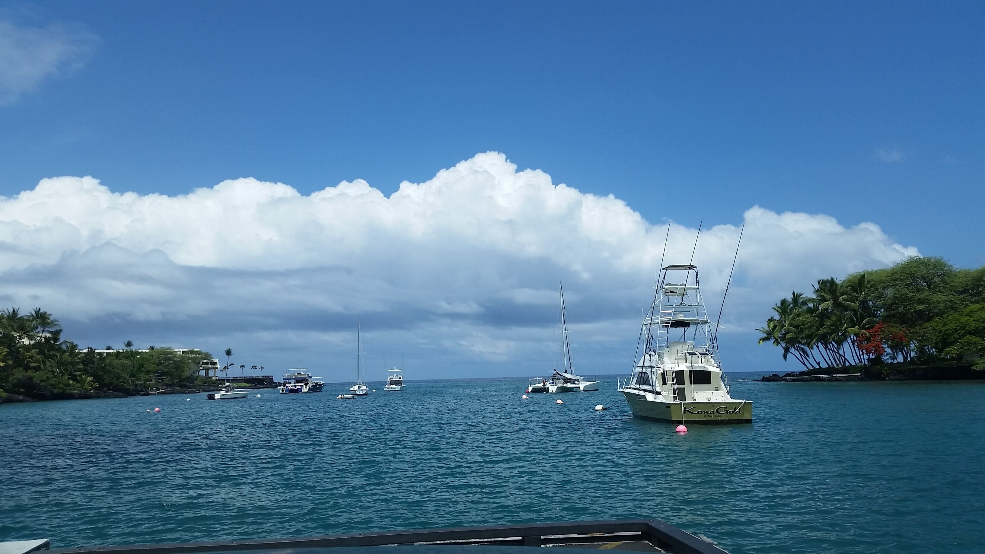 A marina with several boats docked, a clear sky, and a coastline with palm trees.