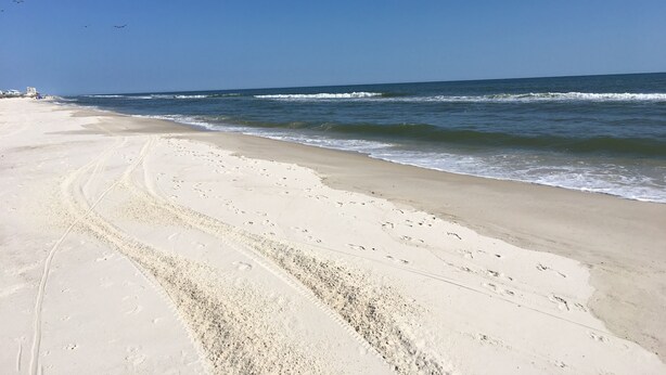 Une vaste plage de sable fin, parsemée d’empreintes, sous un ciel bleu et dégagé.