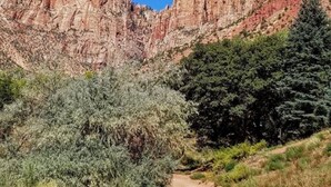 A canyon with red rock formations and a dirt path. - Zion's Cozy Cabins (Hildale)