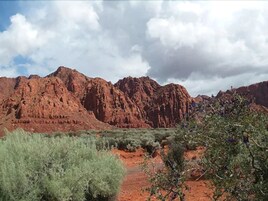Cabaña Confort, 1 cama de matrimonio, accesible para personas con discapacidad, no fumadores | Vistas desde la habitación