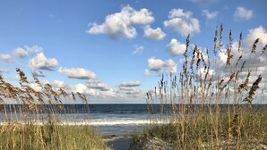 A beach with tall grasses and a clear sky. - Immaculate Family Friendly 3BR/3BA  Beach Villa with TESLA Charger (Amelia Island)