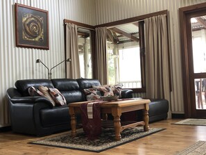 TV connectée, cheminée, lecteur de DVD, livres