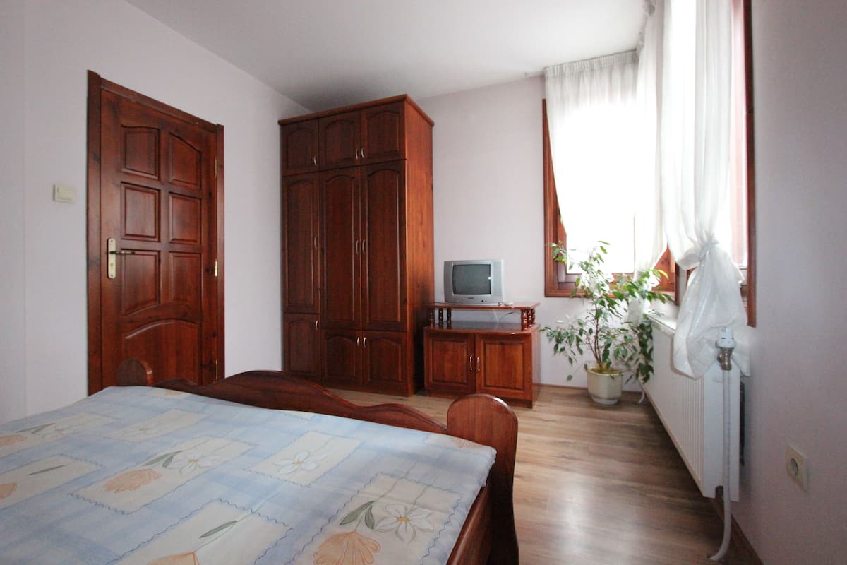 A bedroom with a bed, wooden wardrobe, a television on a stand, a potted plant, and a radiator.
