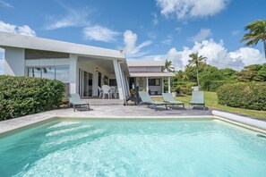 Pool - Villa des Raisiniers (la vauclin)