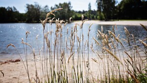 Private beach nearby, snorkeling - Ferienparadies Mühlenbach (Soltau)