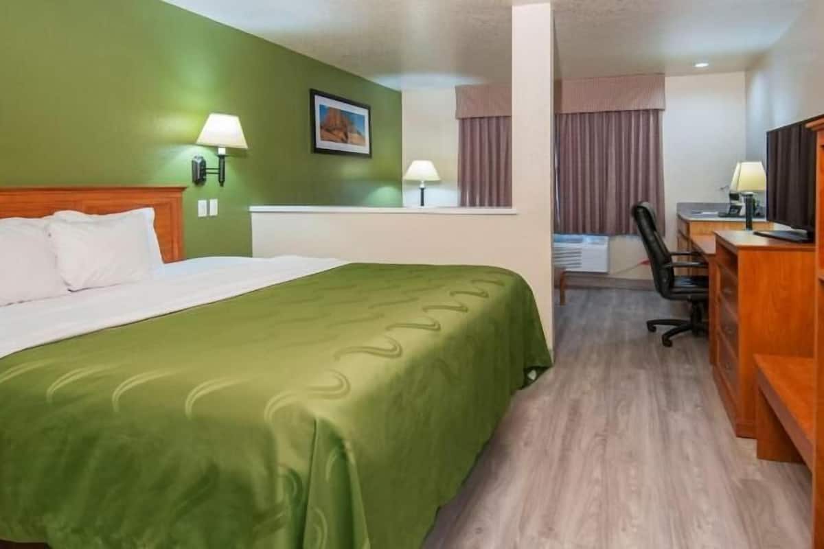 Een hotelkamer met een bed, een bureau, een stoel, een televisie en een magnetron.