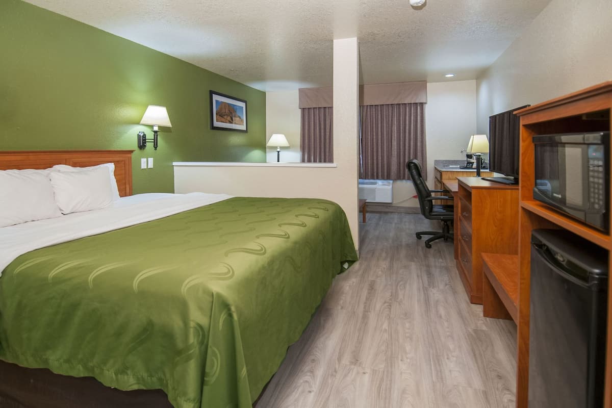 Een hotelkamer met een bed, een bureau met een computer, een magnetron en een televisie.