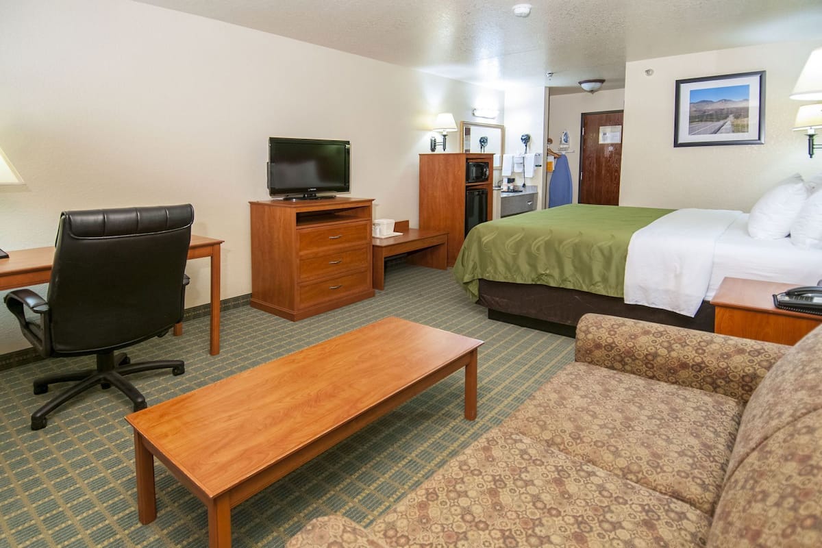 Een hotelkamer met een bed, een bureau met een computer, een stoel, een bank en een televisie.
