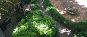 Azalea Plantation B&B