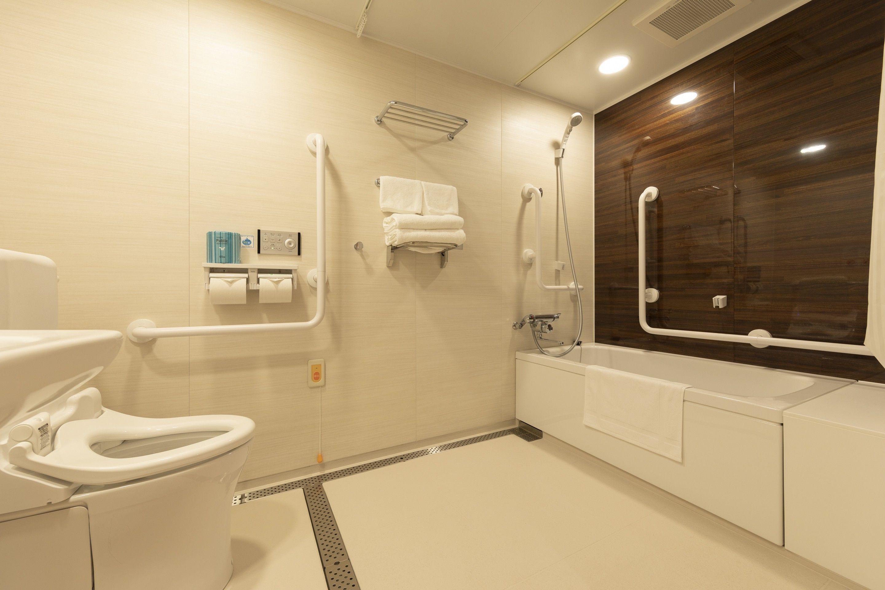 A modern bathroom with a toilet, grab bars, a shower, and a sink.